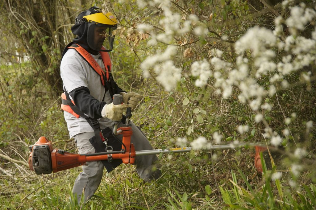 Association Valoris sur Auch